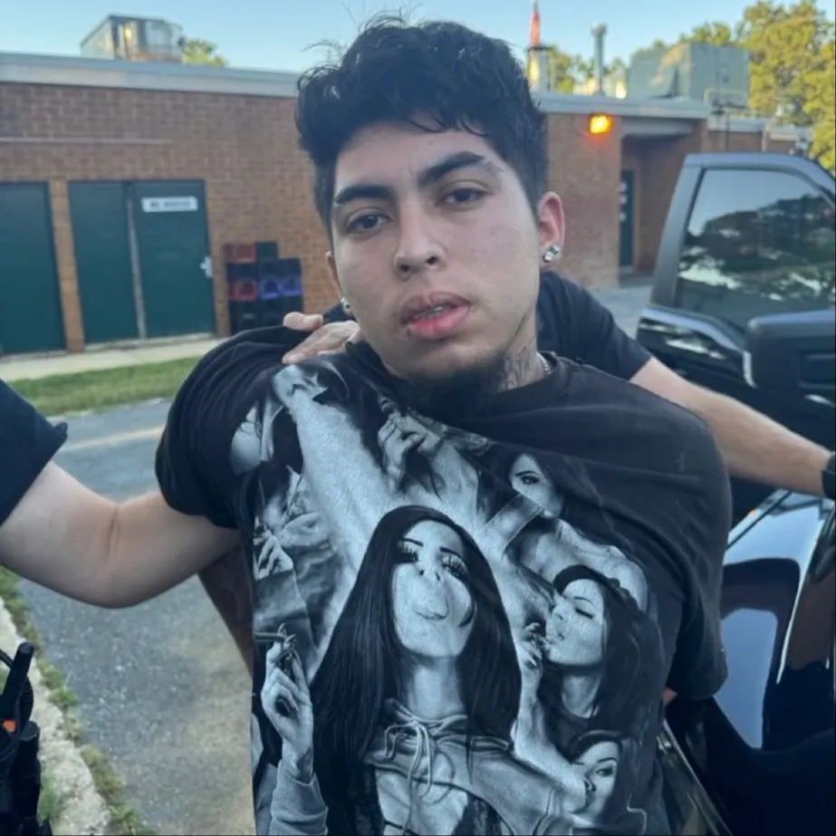 Alexis Cedillos-Campos, 19, was arrested for fatally stabbing his co-worker Carmen Lizet Puch, 42, and dousing her body in gasoline in Virginia.