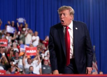 Trump fires back after protester interrupts Myrtle Beach rally for Darline Graham: ‘Mom is voting for us’