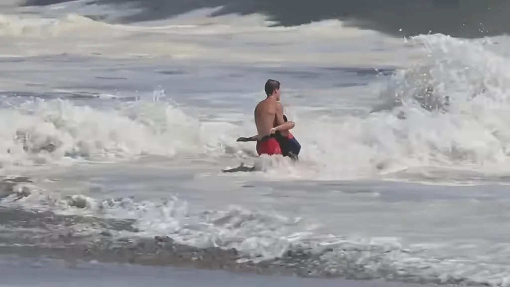 A lifeguard battles terrifying waves to rescue a boy from the sea.