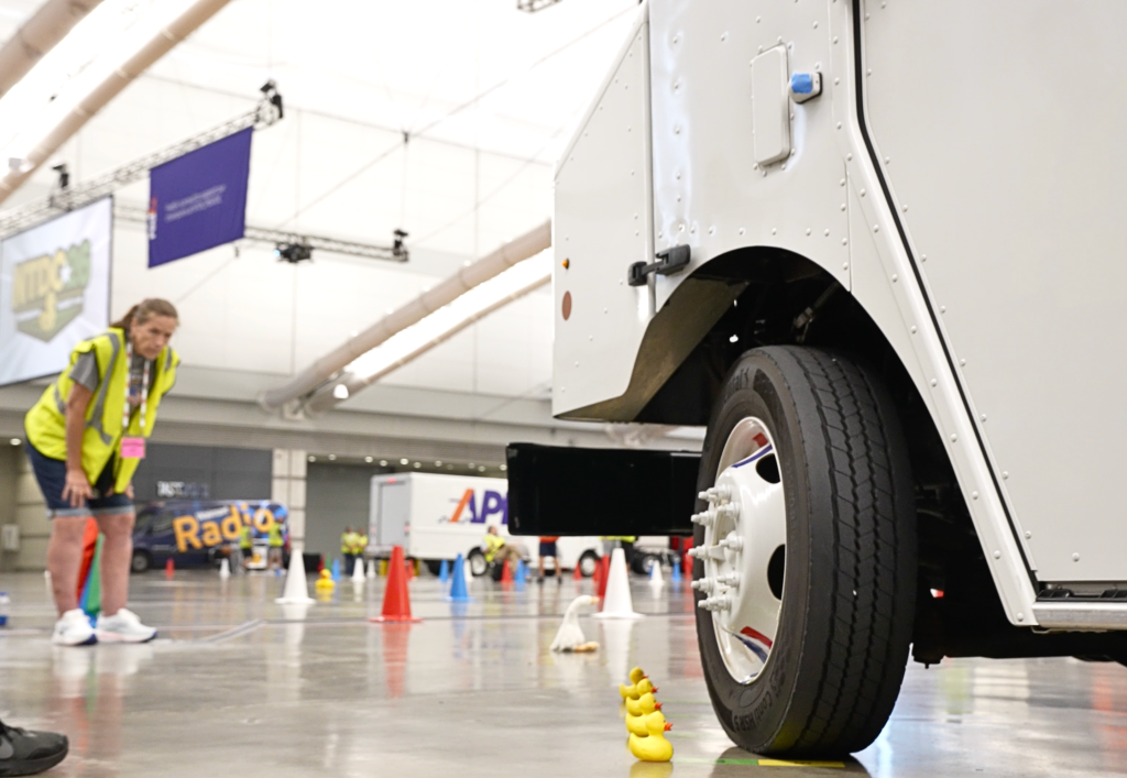 A driver carefully navigates around four small rubber ducks.