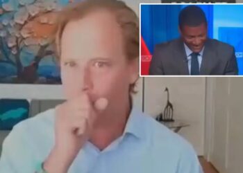 Economist Justin Wolfers wings it after accidentally swallowing fly during live CNN segment on jobs report