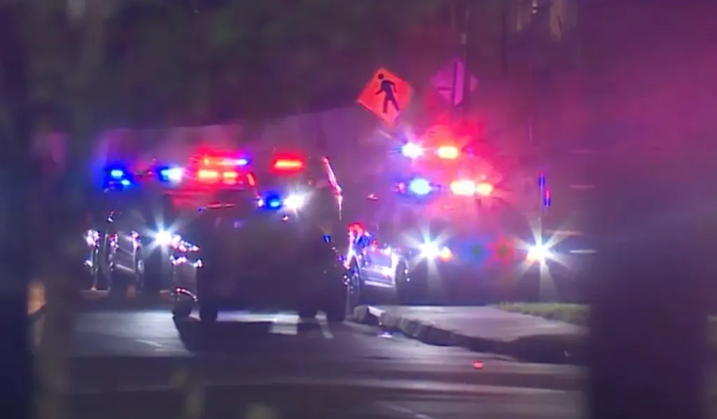 Police vehicles with flashing lights on a street at night.