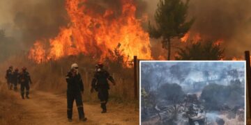 Wildfires rage across Europe as firefighters battle blazes strengthened by gale-force winds