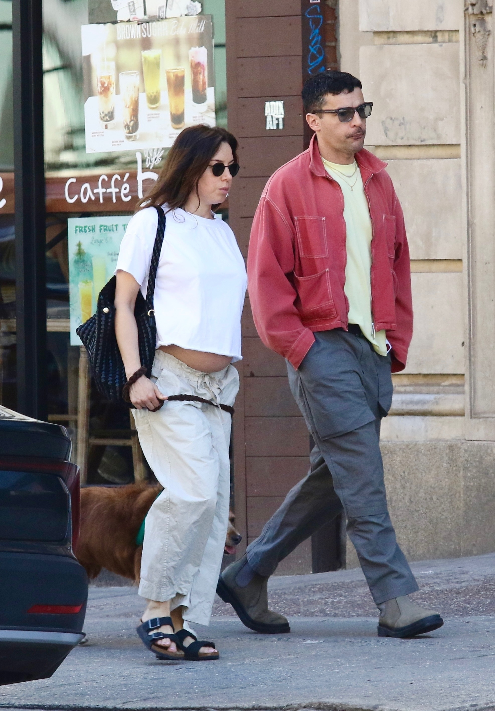 Aubrey Plaza, showing her baby bump, walking with Christopher Abbott and their dog.