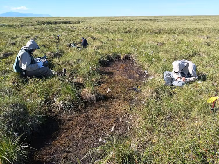 Two scientists take notes sitting next to a gash in the ground.