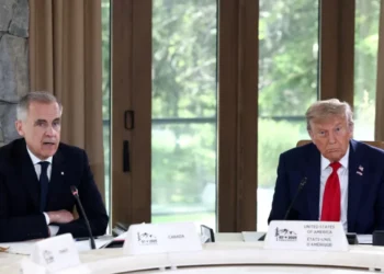 Trump’s ‘insanely stupid’ move has major donor begging president to walk it back: report