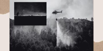 What Happens When the World is on Fire
