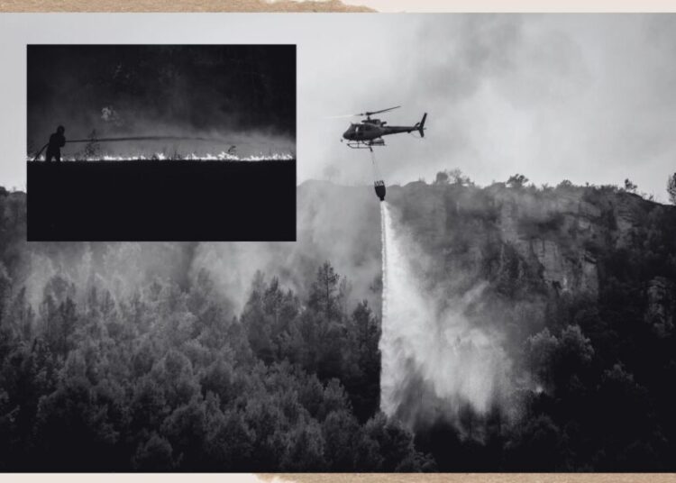 What Happens When the World is on Fire