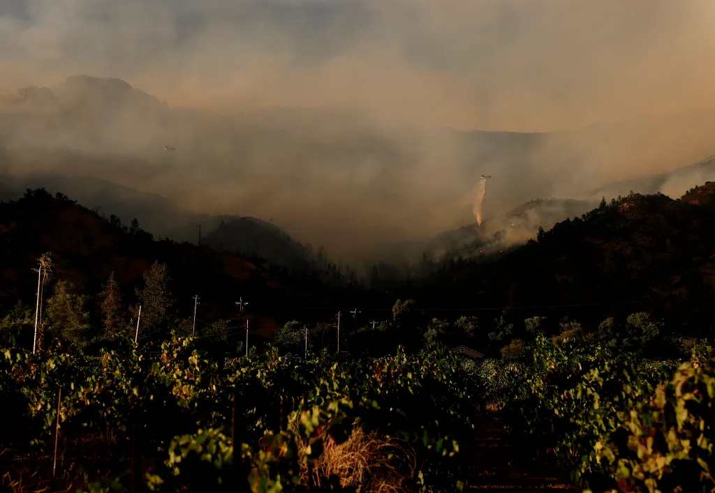 A firefighting helicopter drops water onto the Pickett Fire burning near a vineyard in Calistoga, California.