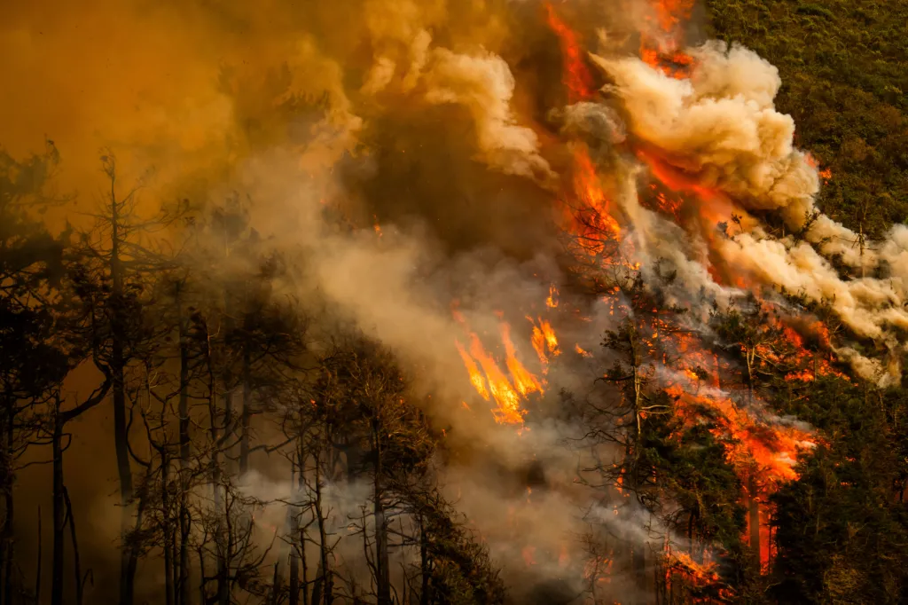 The Plaskett Fire consumes trees in Big Sur, California.