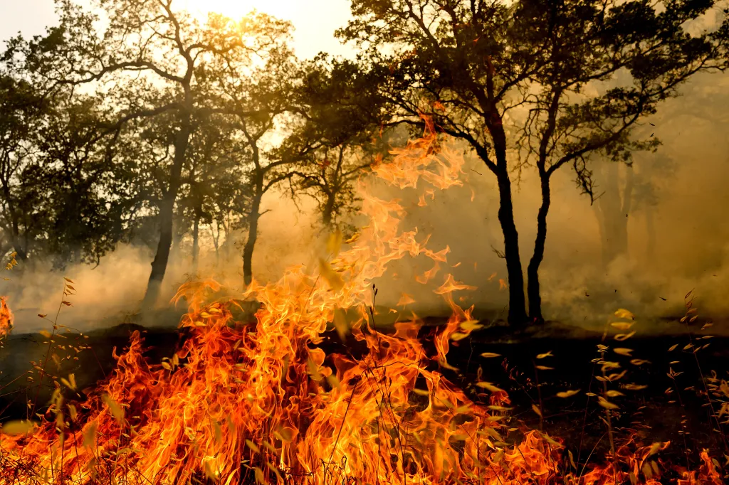 Flames consume vegetation during the Gann Fire in Calaveras County, California.