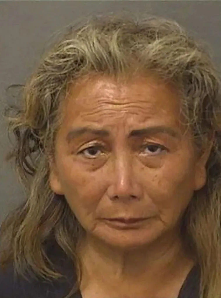 Li Hua Stevens, 65, was arrested after trespassing on President Trump's Mar-a-Lago estate.