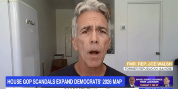 Warning signs flash as House scandals threaten to undo GOP ‘cheating’ scheme: ex-lawmaker