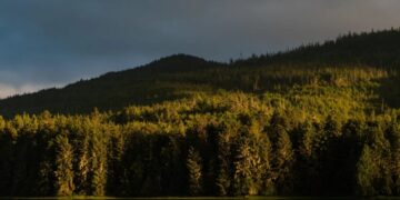 Trump’s latest assault on public lands