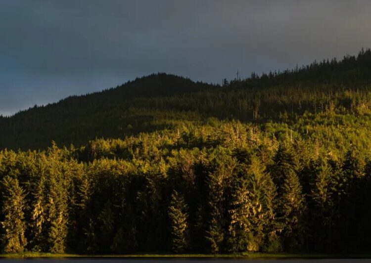 Trump’s latest assault on public lands