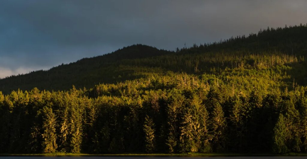 Trump’s latest assault on public lands