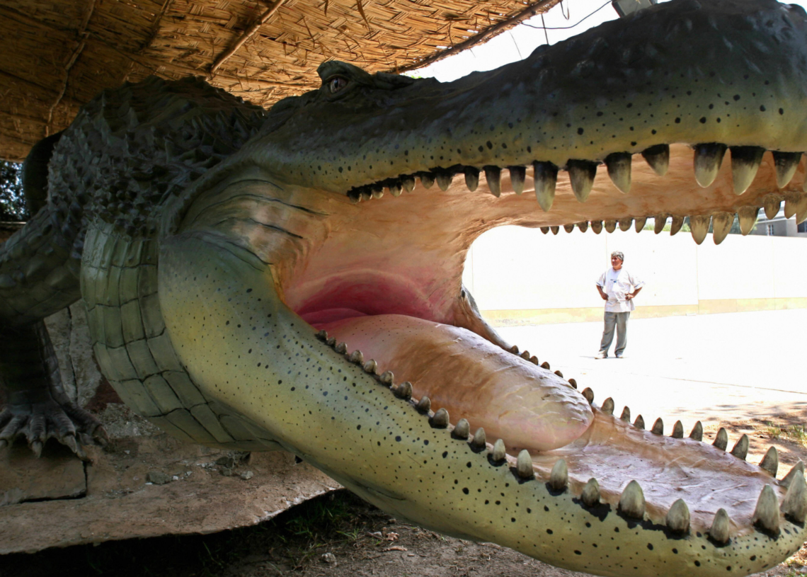 10 Million Years Ago, This 23-Foot Crocodile Ruled Over a Swamp Full of Giants