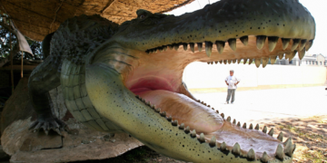 10 Million Years Ago, This 23-Foot Crocodile Ruled Over a Swamp Full of Giants