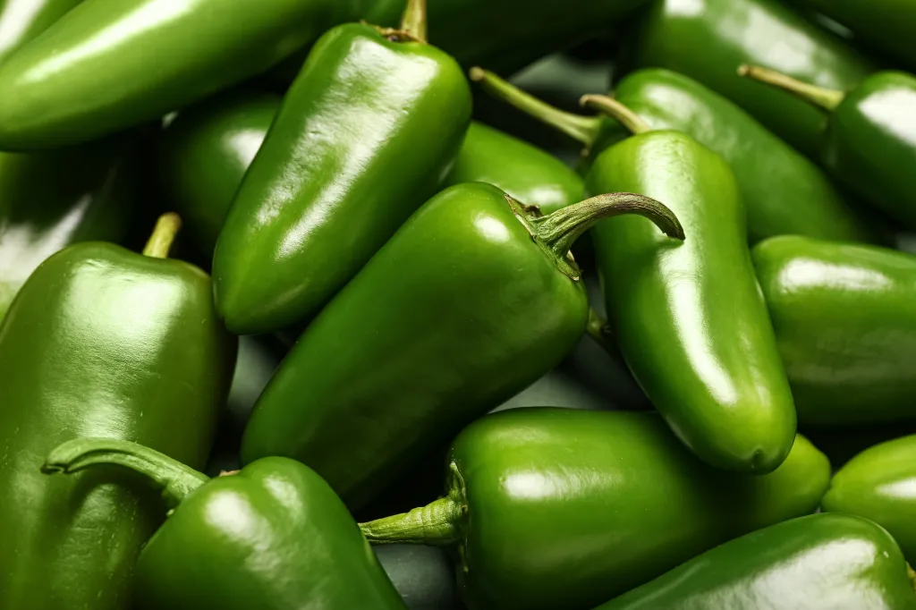 A close-up of a pile of green jalapeño peppers.