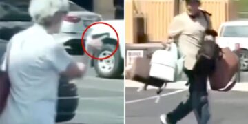 Gun-toting granny chases off shoplifting suspect: ‘I want to shake her hand’