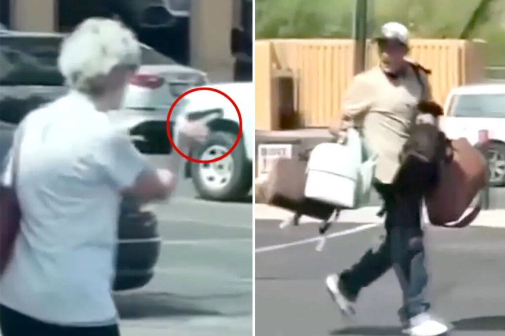 Gun-toting granny chases off shoplifting suspect: ‘I want to shake her hand’