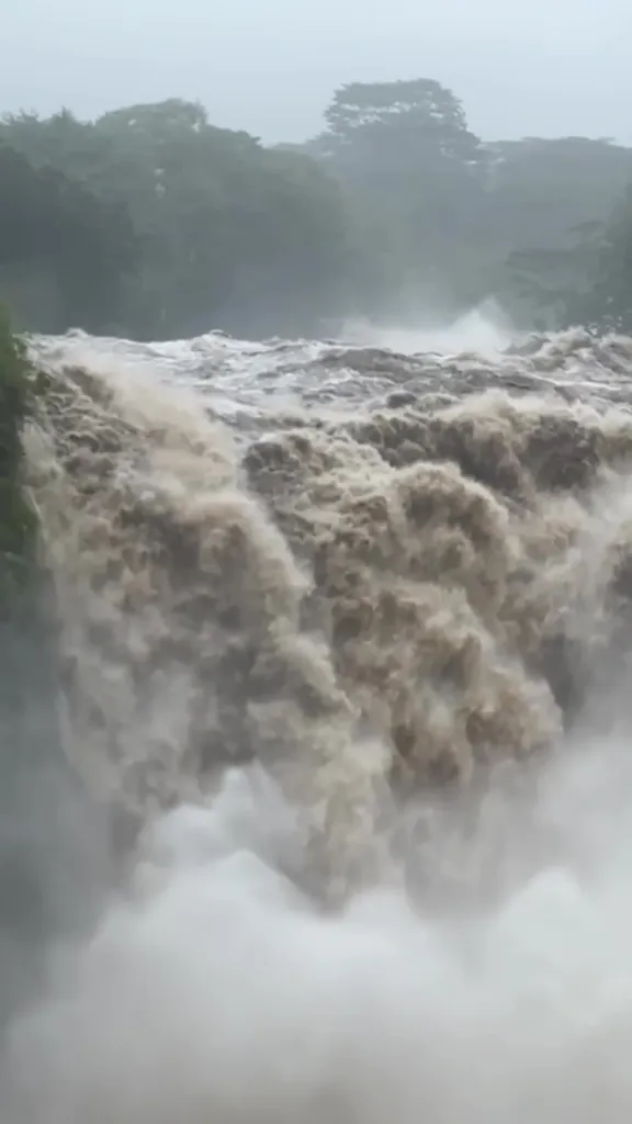 A dramatic brown waterfall surges over a cliff, surrounded by misty trees in the background.