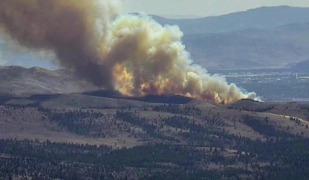 Hawk Fire in a mountainous, forested area, producing a large plume of smoke and flames.