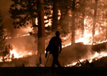 Blame Uncle Sam for US megafires that turn money and jobs into ashes