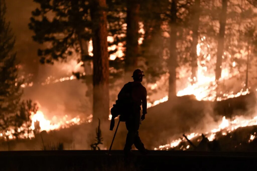 Blame Uncle Sam for US megafires that turn money and jobs into ashes