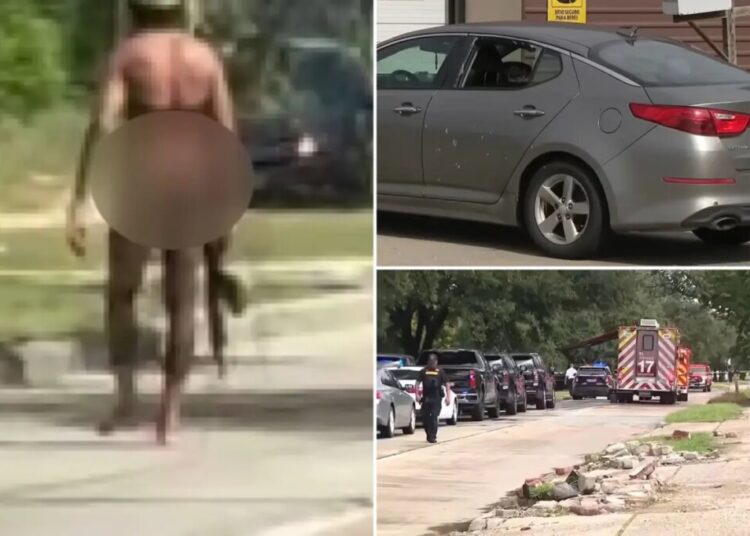 Houston police shoot gunman who indiscriminately fired on vehicles, injuring mother and daughter