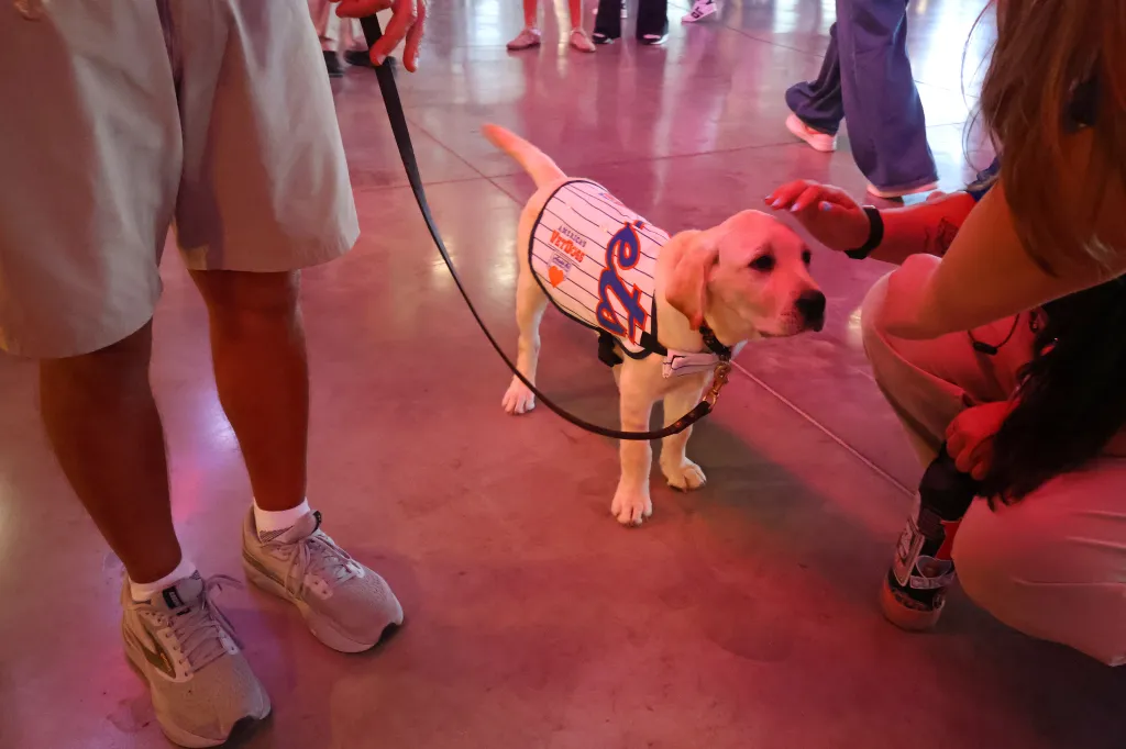 A fan pets Howie.