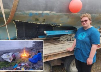 Humpback whale sinks family’s sailboat in Alaska: ‘Heard a giant thud’