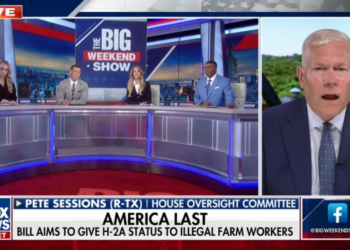 Fox host goes nuclear on GOP lawmaker in MAGA immigration spat: ‘I deeply resent that!’