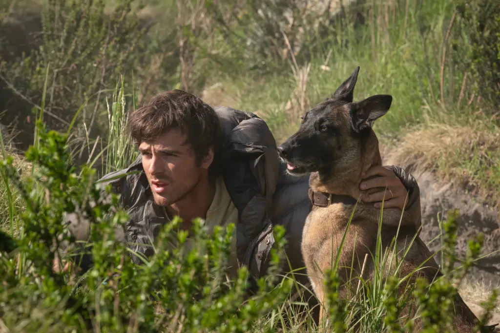 Jacob Elordi and a German Shepherd in a grassy field in a scene from 