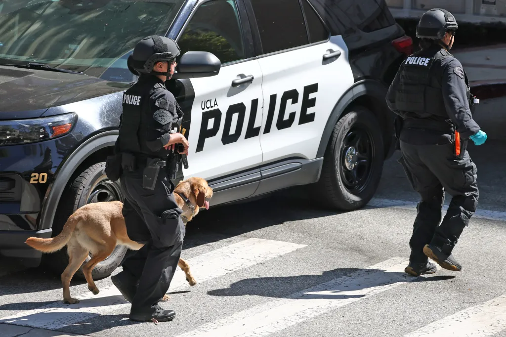 Two police officers and a K9 dog conduct a SWAT drill.