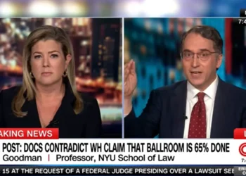‘It’s a whopper’: Expert amazed as Trump’s ballroom claim unravels in court