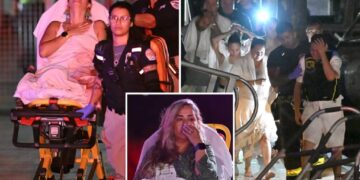 Feds investigating if captain of boat that flipped in New York Harbor was running illegal charter business