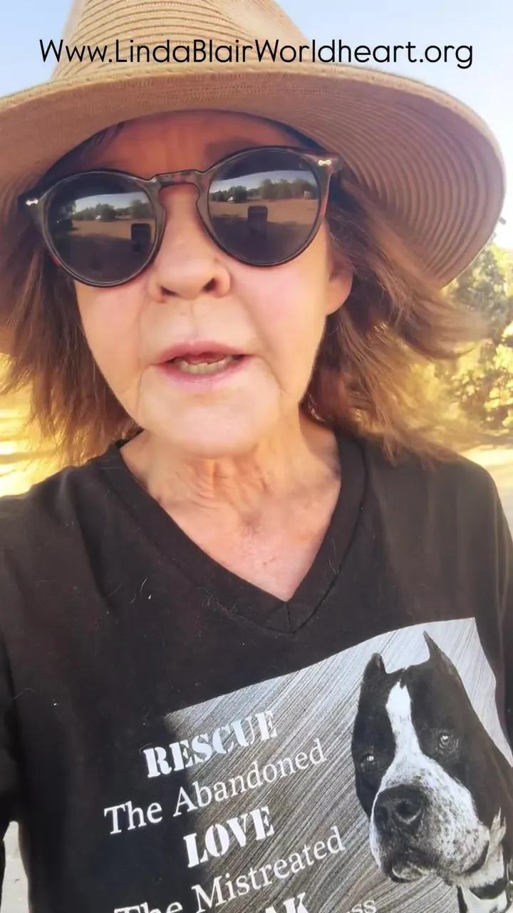 Linda Blair wearing a hat and sunglasses, with a black t-shirt featuring a dog and text about rescuing and loving abandoned and mistreated animals.