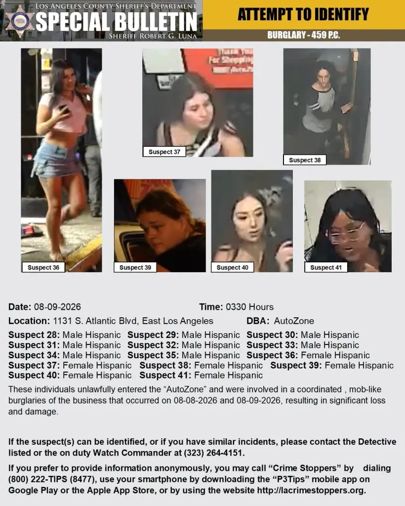 Collage of seven surveillance images showing suspects in a burglary.