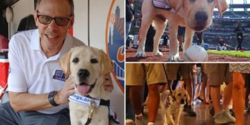 Meet the adorable and fluffy heir to Howie Rose’s legacy already taking over Citi Field