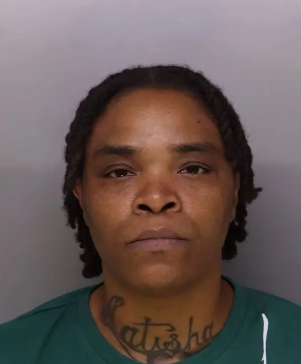 Mugshot of Michelle Francine Edwards, an Ohio woman.