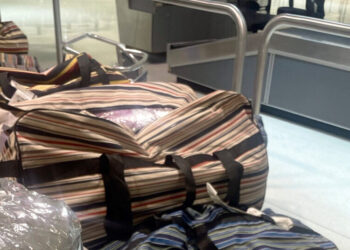 Duffel Bags Full of Stimulants Seized at Baltimore Airport’s Baggage Claim