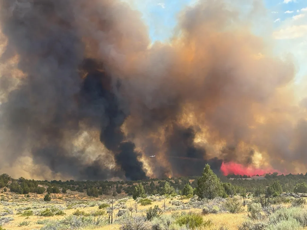 A large wildfire with thick smoke billowing into the sky and a small plane visible dropping retardant.