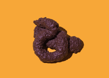 How a 540-Million-Year-Old Poop Explosion May Have Changed Life on Earth