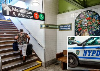 Crazed stranger randomly shoves woman onto NYC train tracks, then walks into psych clinic: cops, sources