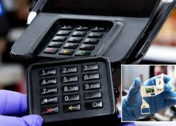 Card skimming scam is stealing food benefits nationwide