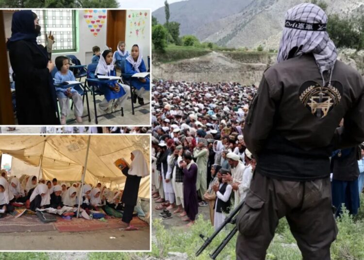 Taliban wipes out decades of progress as 2.4M Afghan girls remain locked out of school, UN agency says