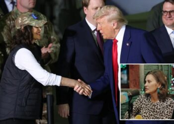 Michigan Gov. Gretchen Whitmer credits Trump for delivering project that Biden couldn’t get over finish line