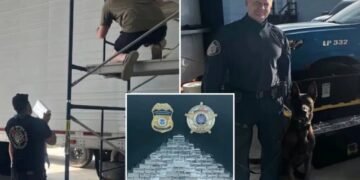 Russian national arrested with nearly 800 pounds of meth in ‘one of the largest’ busts in Louisiana history