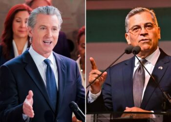 California Democrats need more spine to stop the socialists